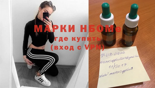 прущие грибы Абаза